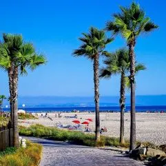 12 Best Beaches in San Diego for Families