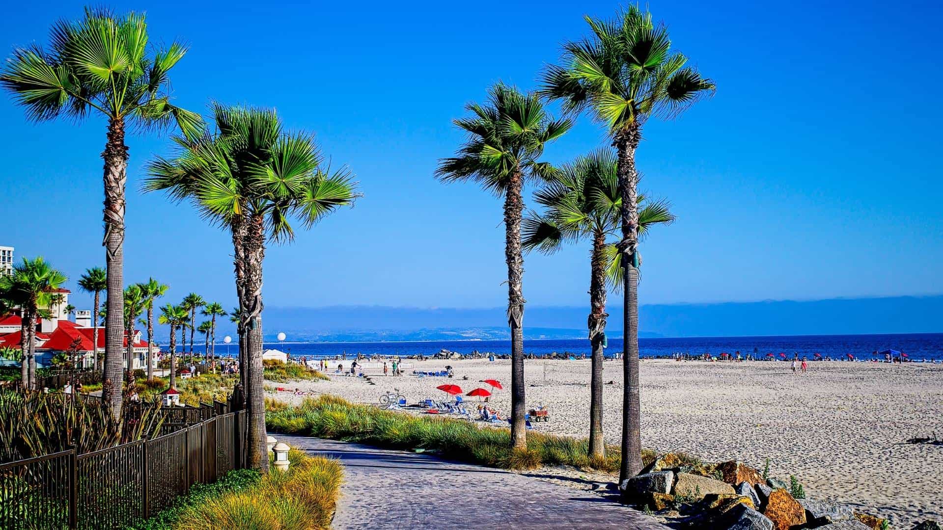 The 12 Best Beaches Near San Diego for Families