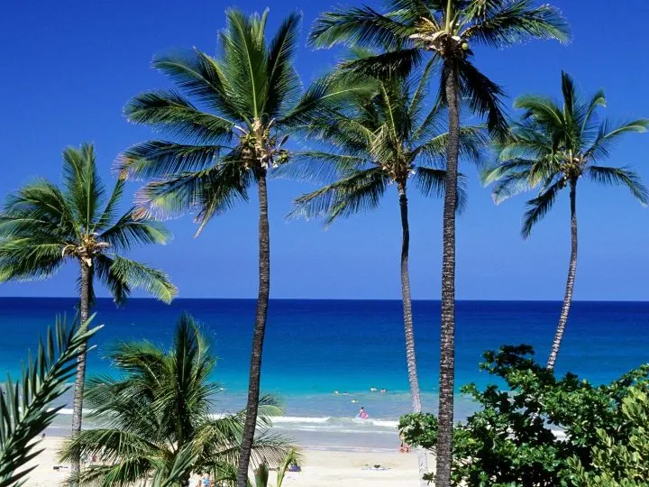 Best Big Island Beaches