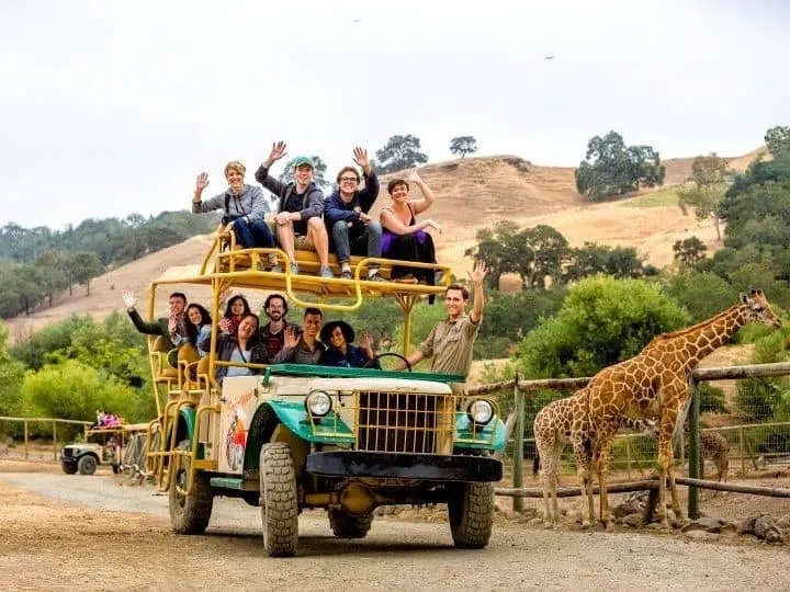 Safari West is a great daytrip from Napa