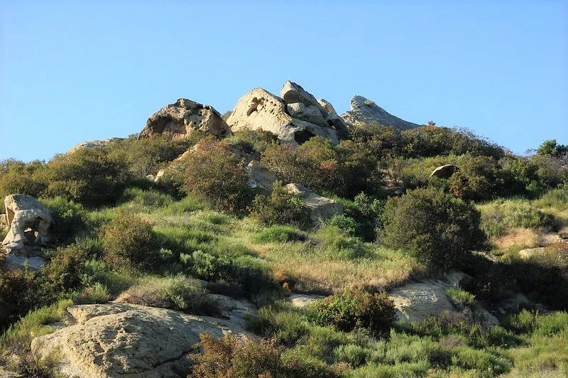 Laguna Coast wilderness Park in Laguna Beach