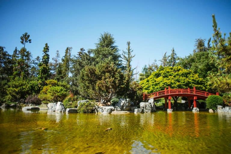 San Jose Japanese Garden
