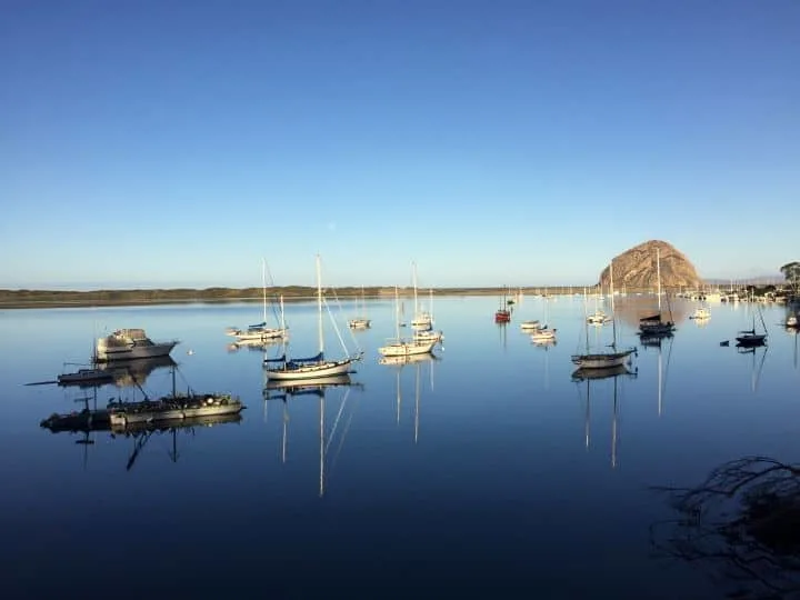 Morro Bay View