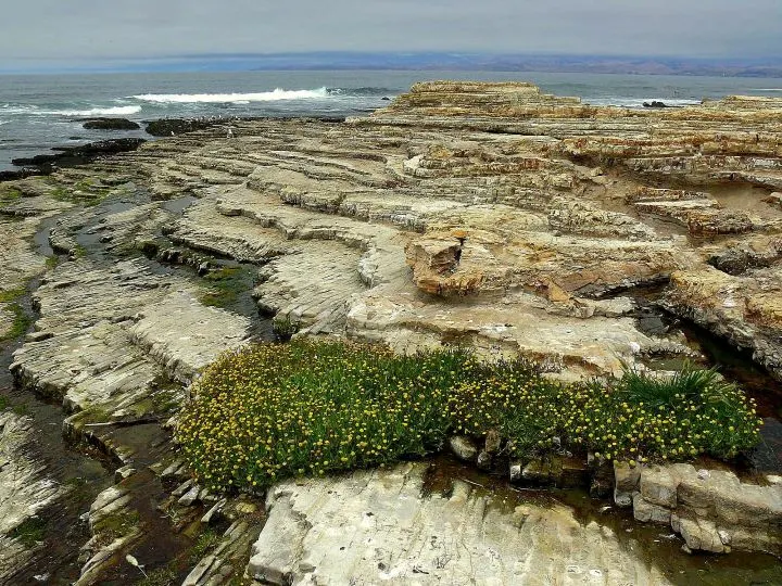 Montana de Oro State Park near Morro Bay