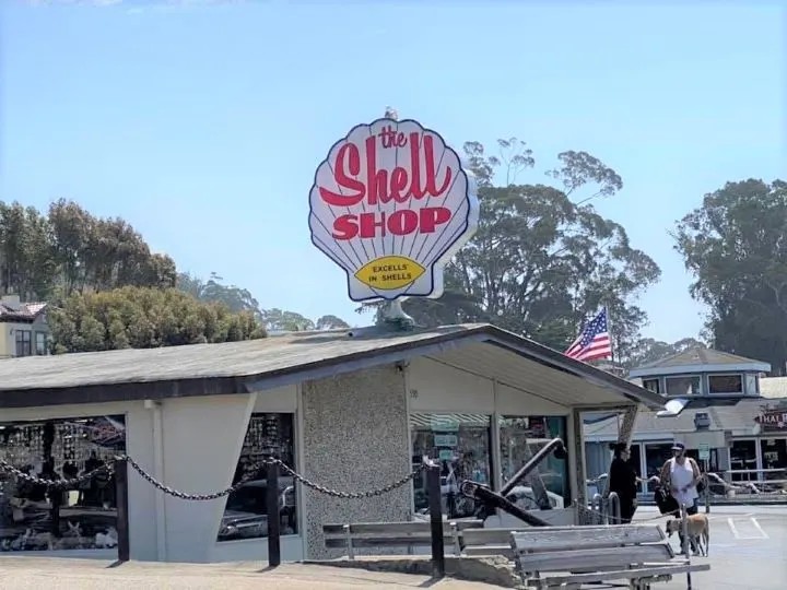 Shell Shop in Morro Bay