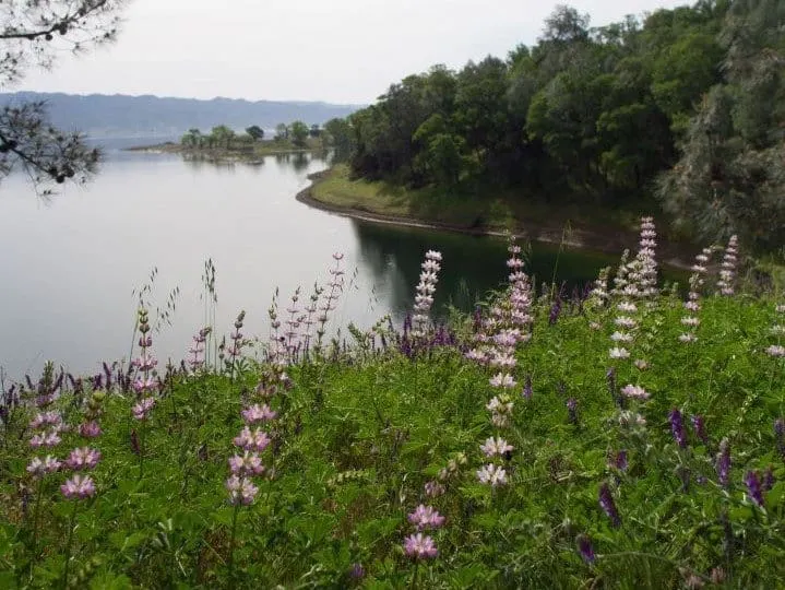 Lake Berryessa