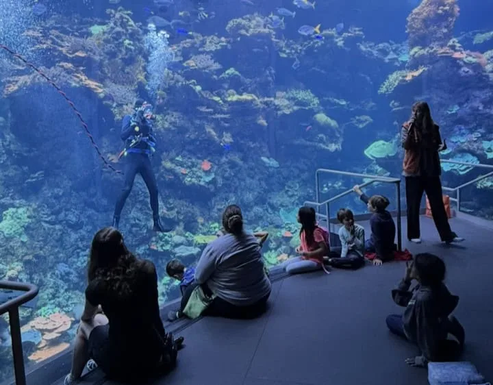 Over 30 Fun Things To Do in San Francisco with kids! 18