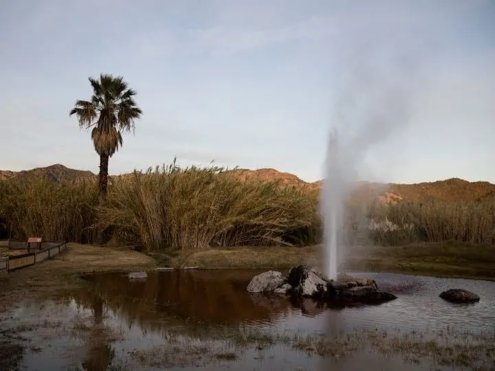 Old Faithful Geyser in Napa Valley