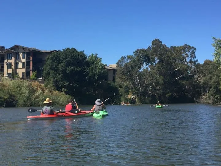 things-to-do-in-the-Napa-Valley-with-kids include kayaking on the river