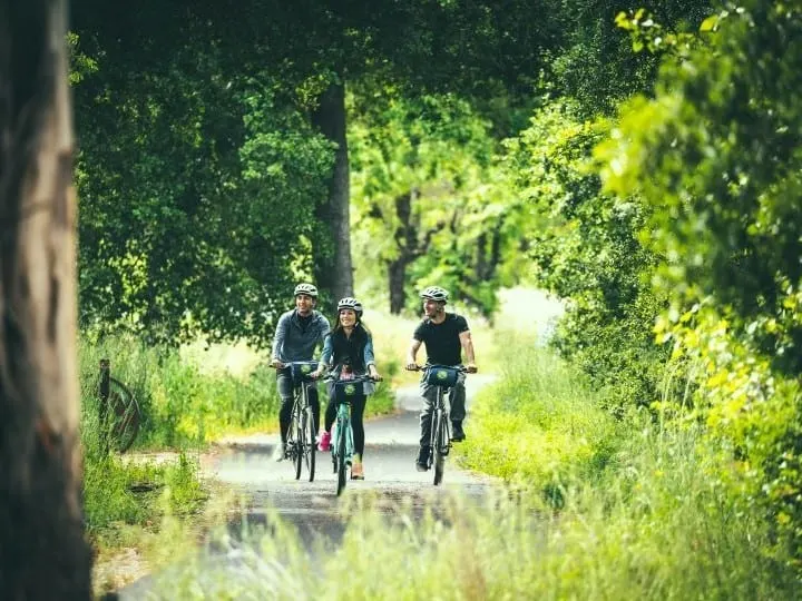 Bike the Napa Vine Trail