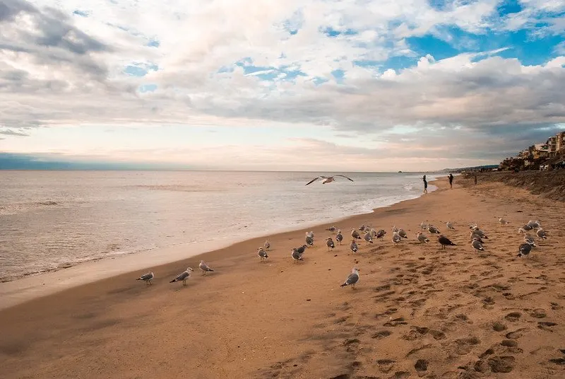 Things to do in Carlsbad CA include spending the day at the beach