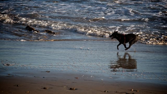 The 10 Best Beaches in Santa Barbara, CA