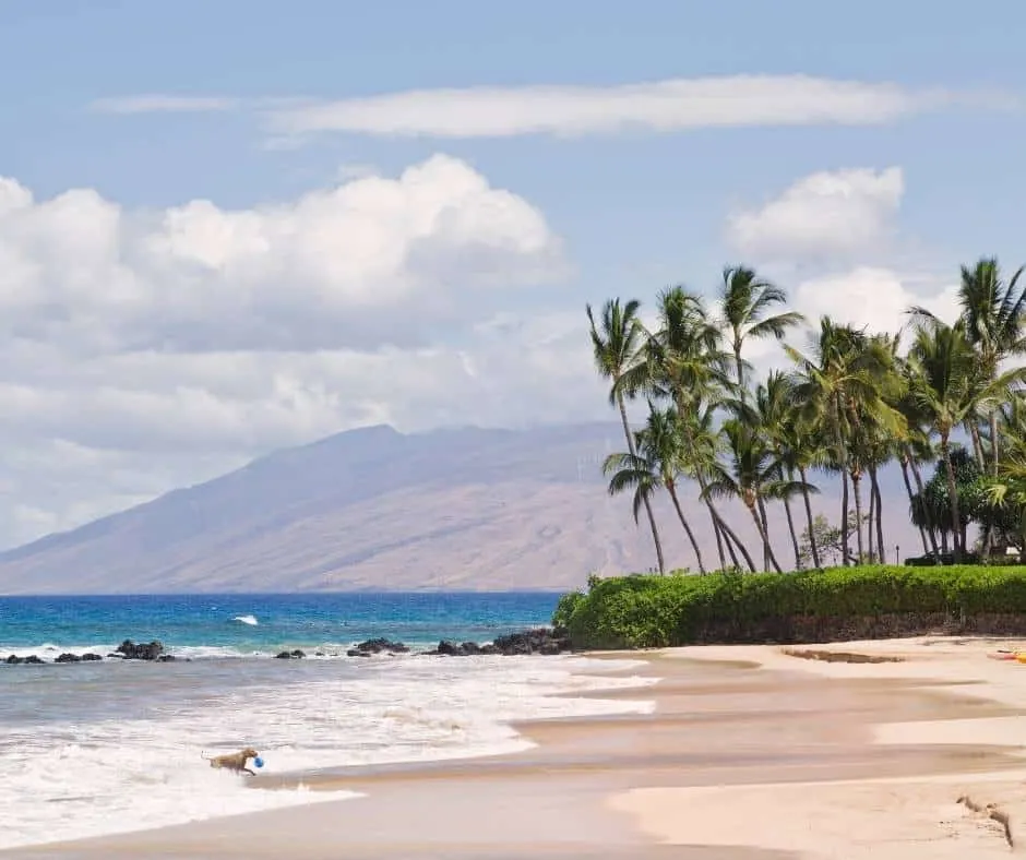 This image has an empty alt attribute; its file name is Best-Beaches-in-Maui-Palauea-Beach.jpg