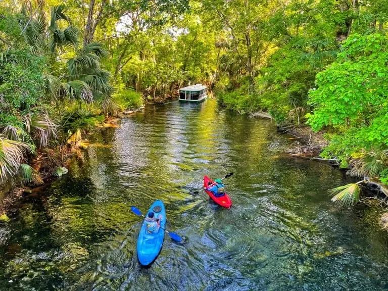 Silver Springs State Park is one of the best things to do in Ocala Florida