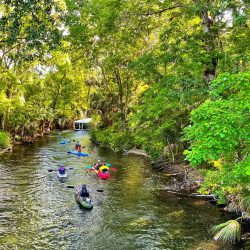 10 Fun Things To Do In Ocala, Florida
