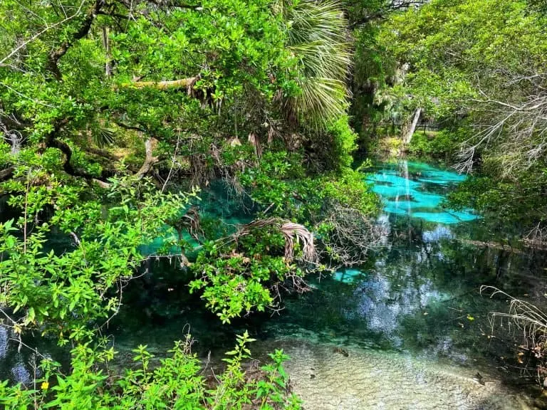 Juniper Springs in Ocala Florida