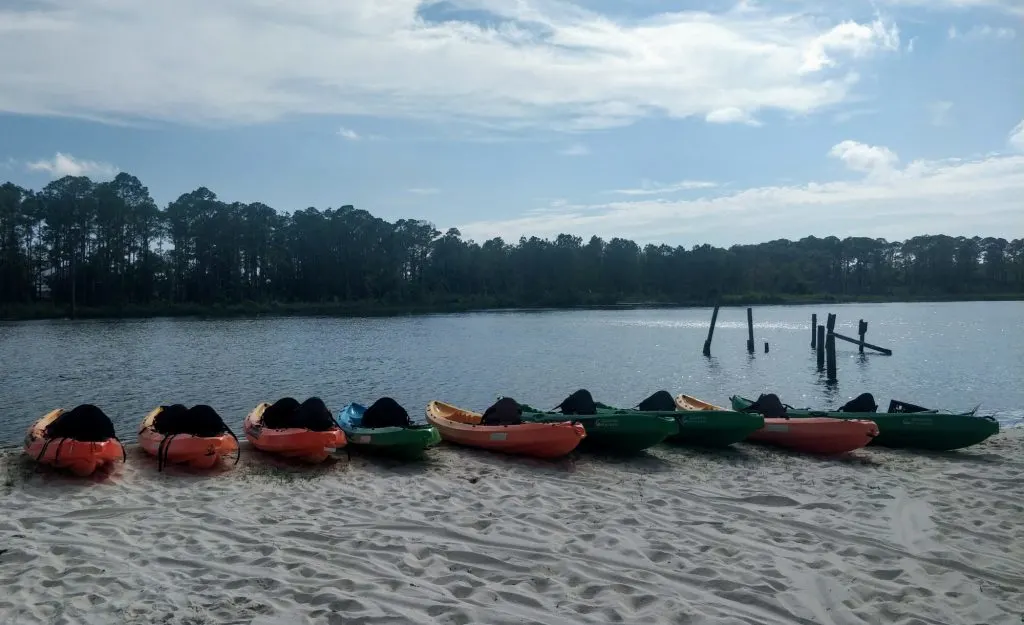 Kayak Oyster Bay with Wild Native Tours in Orange Beach, Alabama
