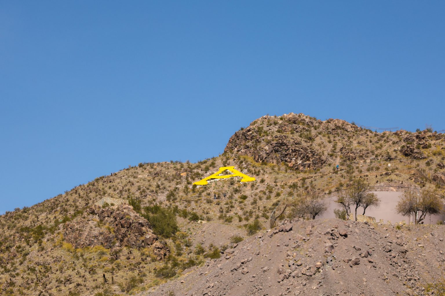 25-fun-things-to-do-in-tempe-with-kids