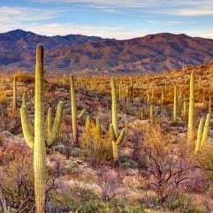The 10 Best National Parks in Arizona