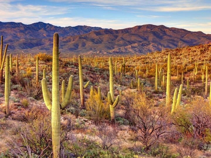 Best Arizona National Parks