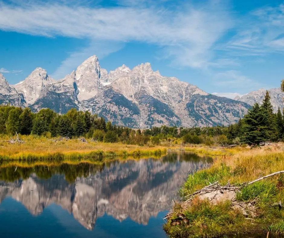 Schwabacher Nature Walk is one of the best hikes in Grand Teton National park for families