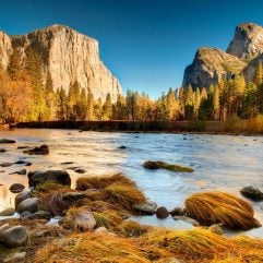The 15 Best National Parks in California
