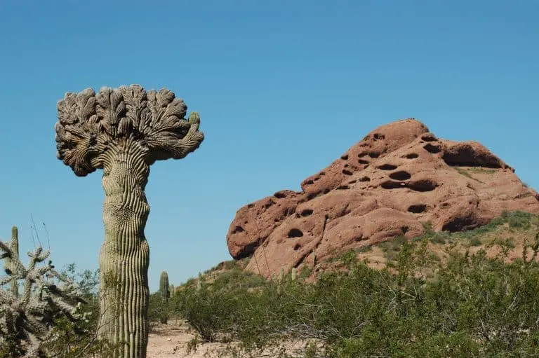 Papago park in Phoenix