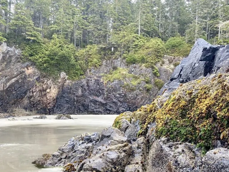 Pacific Rim National Park in Canada