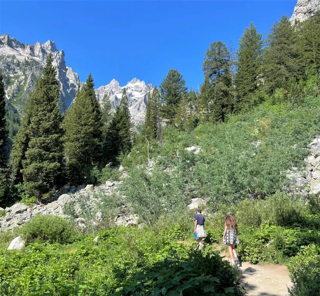 Best hikes in Grand Teton National Park include Cascade Canyon Trail