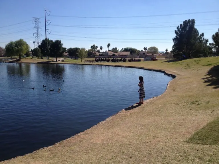 Freestone Park in Phoenix
