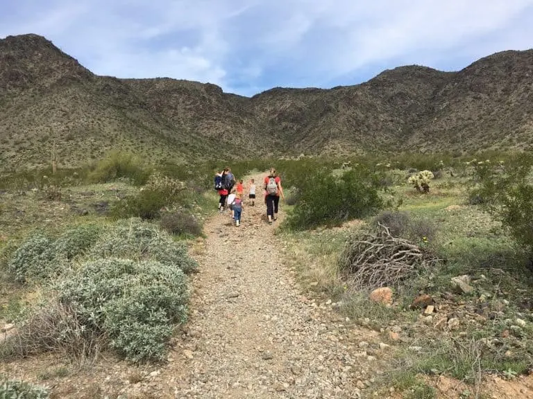 South Mountain Park in Phoenix