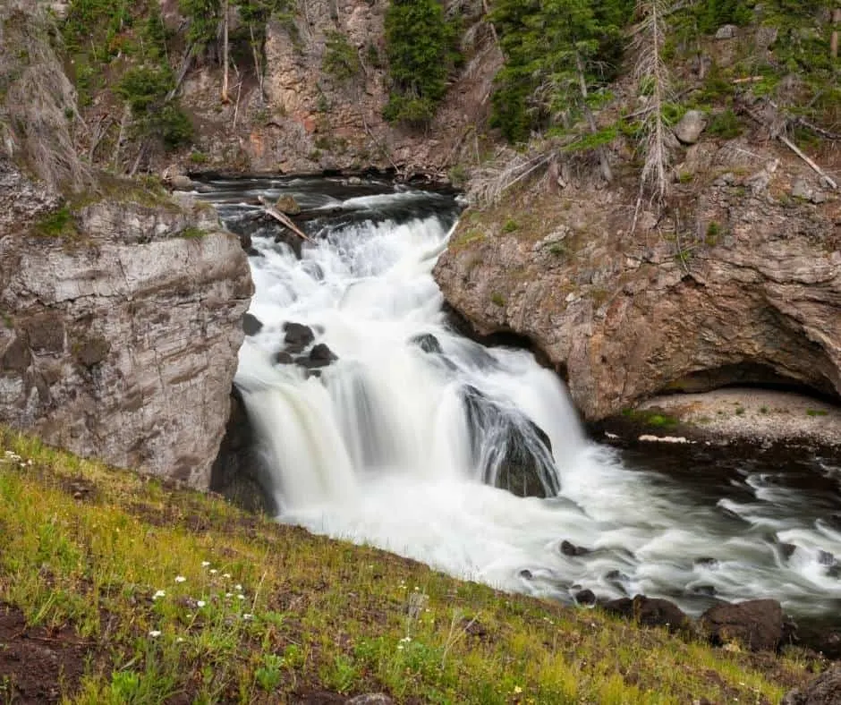 Over 25 Amazing Things to do in Yellowstone with Kids 5