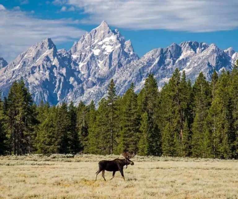 Grand Teton National Park is one of the national parks near Salt Lake City