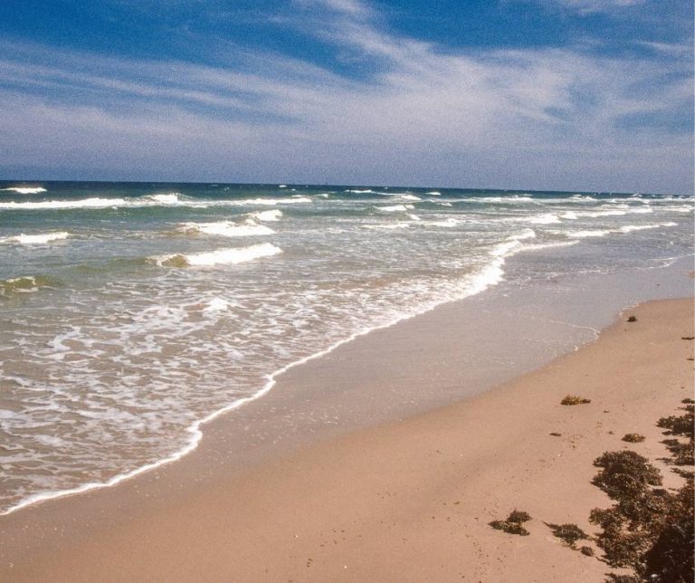 Padre Island National Seashore is one of the best beaches in Texas for families
