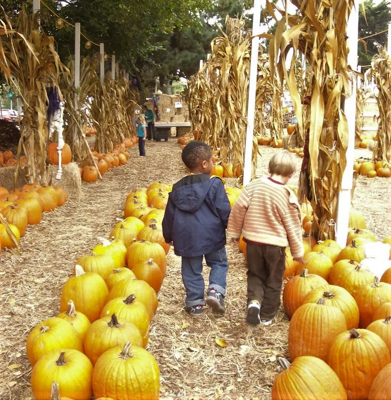 Clancy's Pumpkin Patch in San Francisco