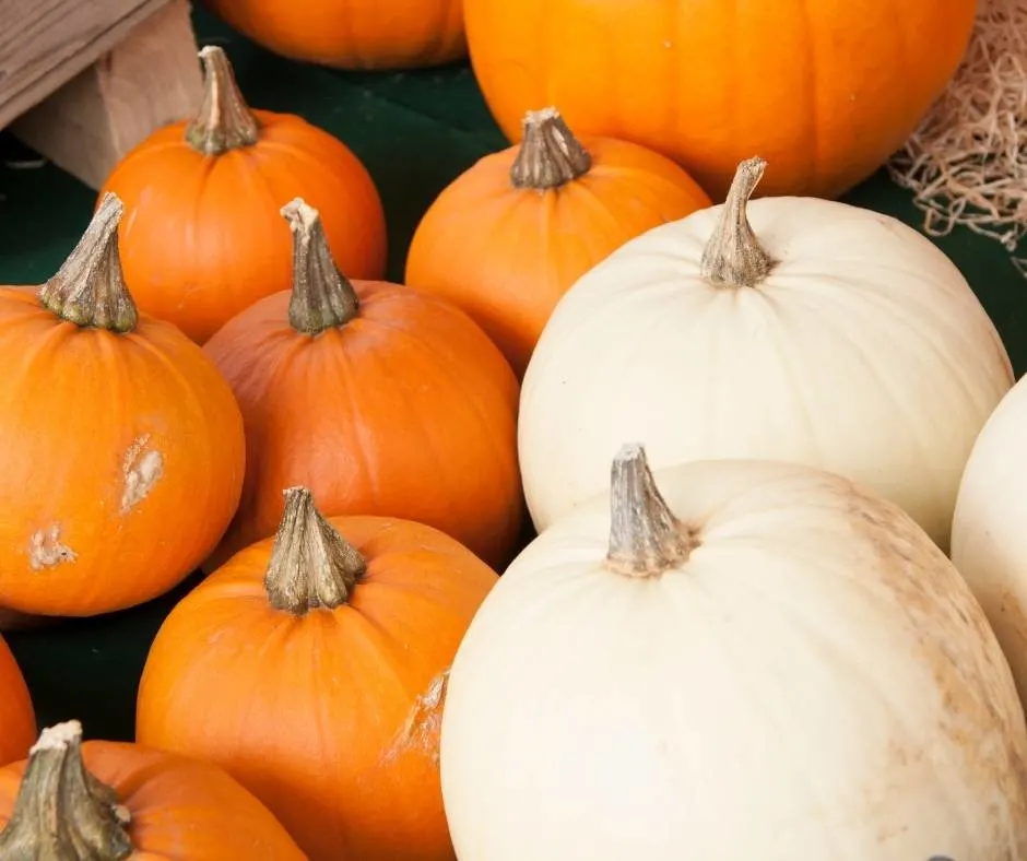 Pumpkin patch Las Vegas