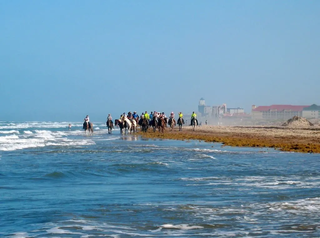 10 Fun Things to Do in South Padre Island 1