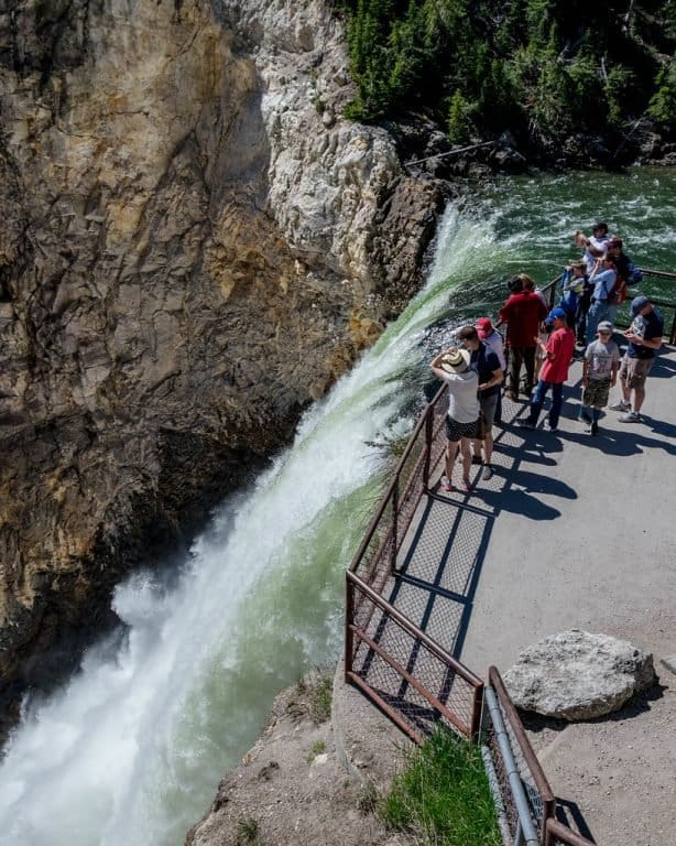 Over 25 Amazing Things to do in Yellowstone with Kids