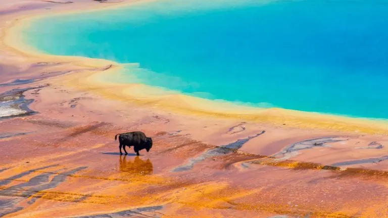 Yellowstone National Park