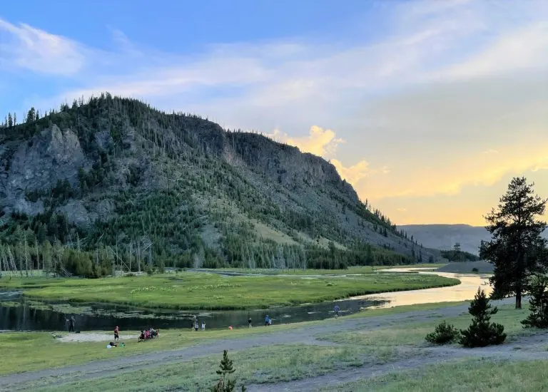 Fly Fishing in Yellowstone