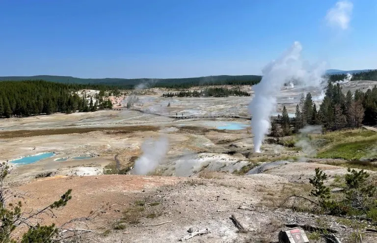 Norris Geyser Basin in Yellowstone