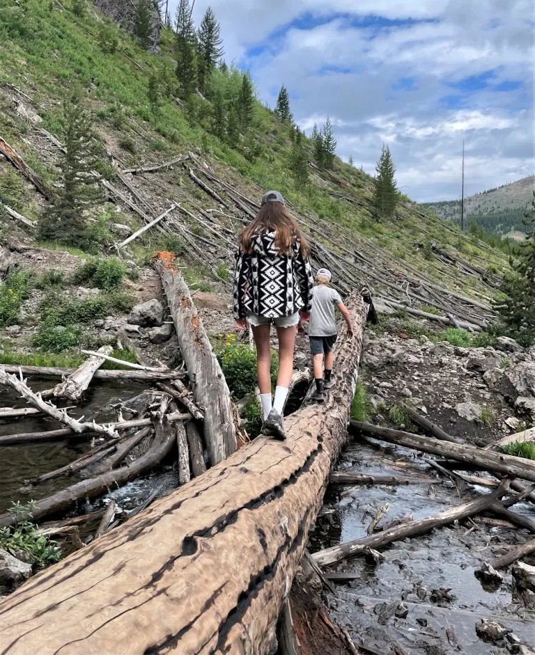 One of the best things to do in Yellowstone with kids is take a hike