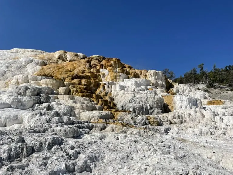 things to do in Yellowstone National Park include visiting Mammoth Hot Springs