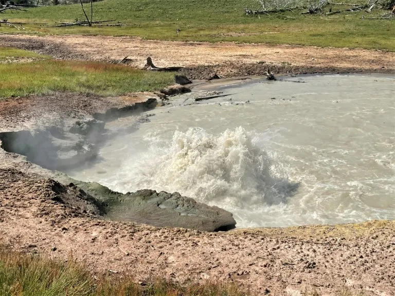 Mud Volcano in Yellowstone National Park