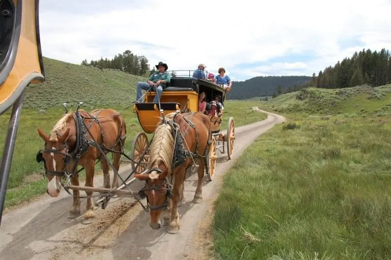 Stage Coach Ride Yellowstone