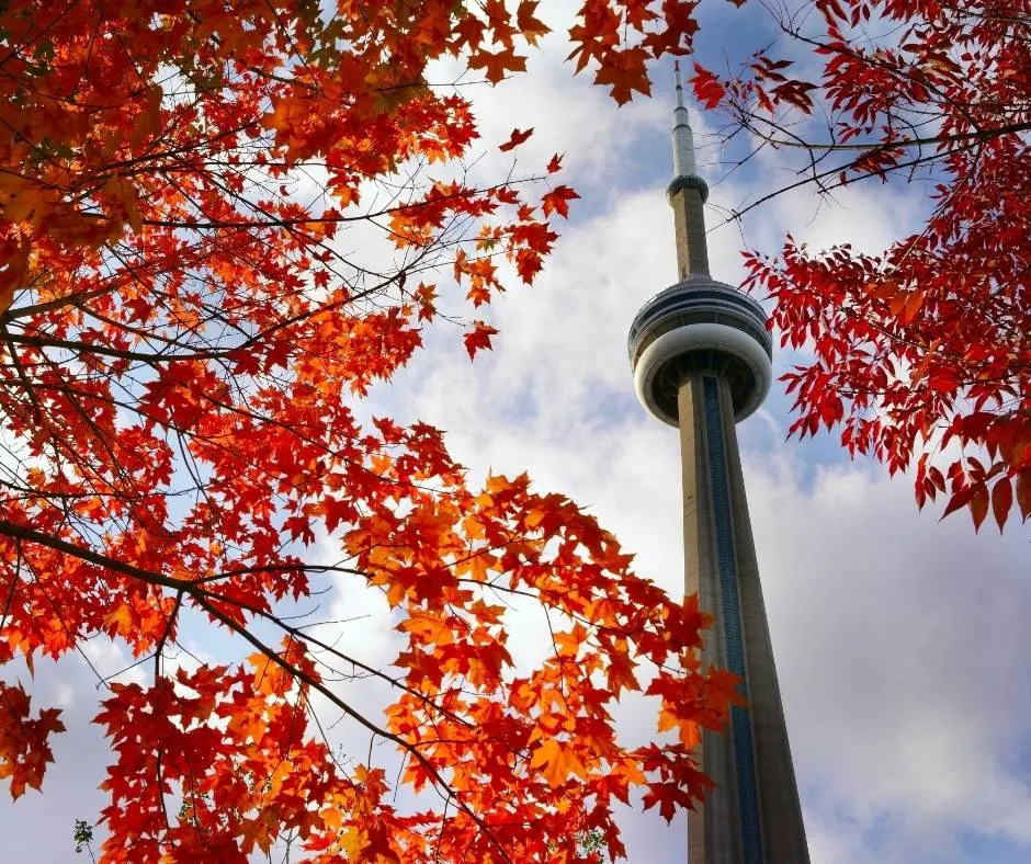 Things to do in Toronto Canda include the CN Tower