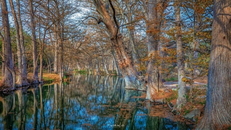 Cypress Creek Nature Preserve