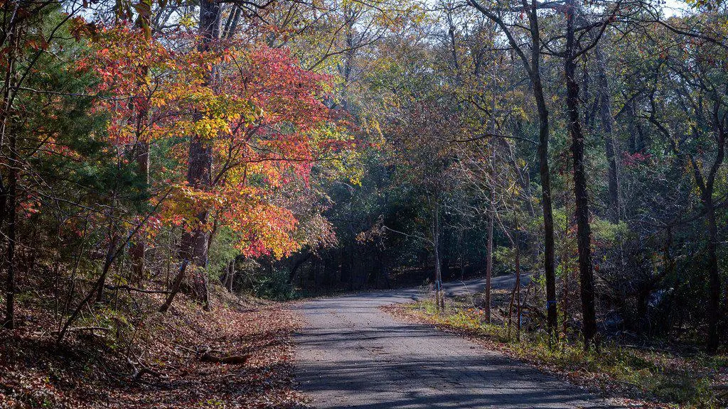 Fall in Texas- 12 Places to See Amazing Fall Colors in Texas 2