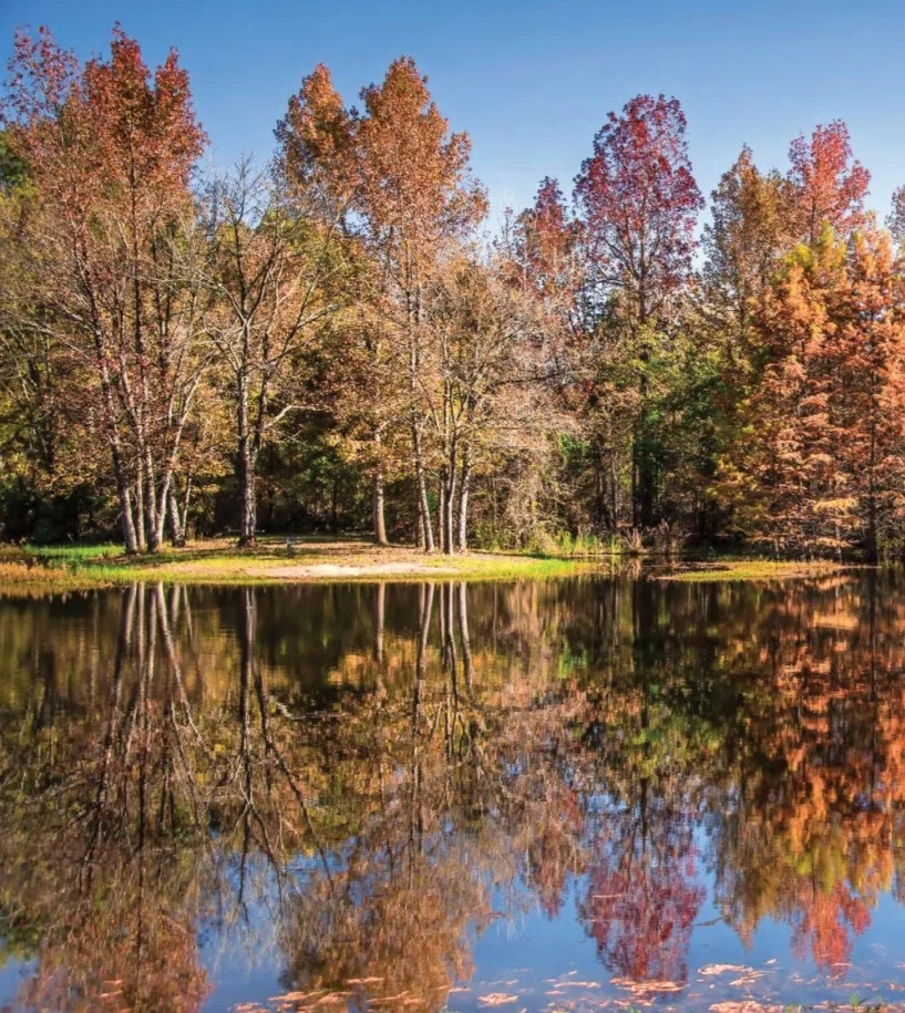 Lake Bob Sandlin State Park in Texas has great Fall Foliage