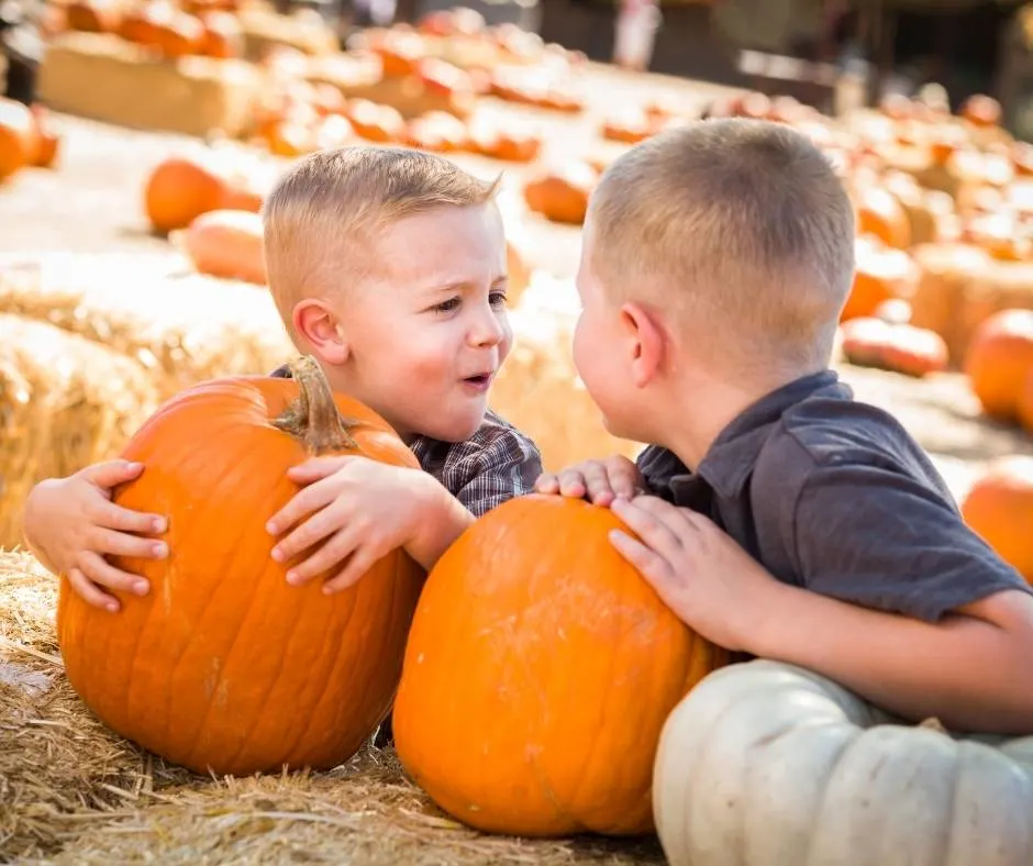 9 Great Pumpkin Patches in Las Vegas for 2022 1